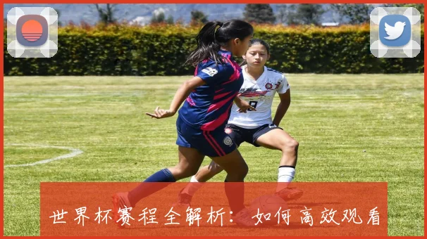 世界杯赛程全解析：如何高效观看所有精彩对决