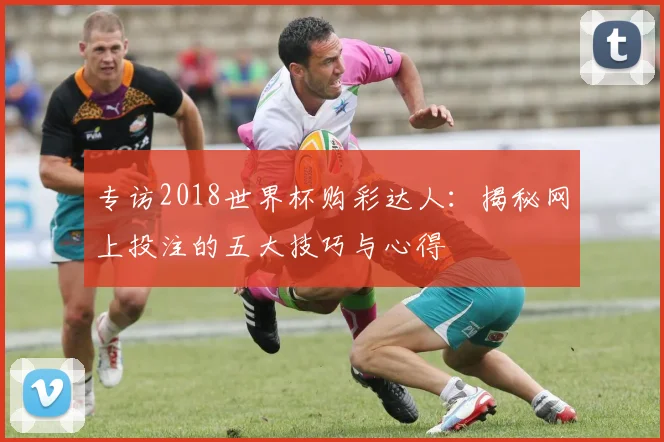 专访2018世界杯购彩达人：揭秘网上投注的五大技巧与心得