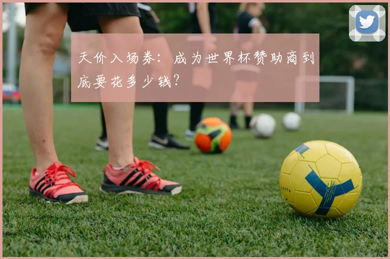 天价入场券:成为世界杯赞助商到底要花多少钱?